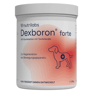 Dexboron Forte 450 St