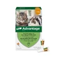 Advantage Spot-On 40 tegen vlooien kleine katten 4X0,4 ml
