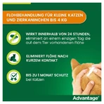 Advantage Spot-On 40 tegen vlooien kleine katten 4X0,4 ml