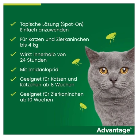 Advantage Spot-On 40 tegen vlooien kleine katten 4X0,4 ml