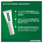 Advantage Spot-On 40 tegen vlooien kleine katten 4X0,4 ml