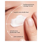 Aroceo Lab Anti Aging Creme Korean Intensivkonzentrat 10 ml