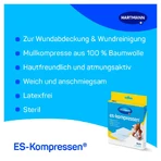 ES kompressen Steriel 10x10cm 8-laags 17-draads 5X2 st.