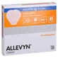 Allevyn Ag Sacrum 17x17 cm Wound dressing 10 pcs.
