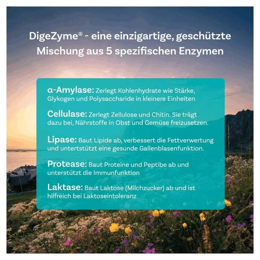 BioDigestin 60 St