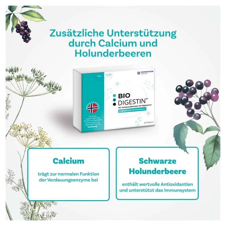 BioDigestin 60 St