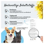 PHA Ear Care Drops Dogs 100 ml