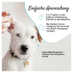 PHA Ear Care Drops Dogs 100 ml
