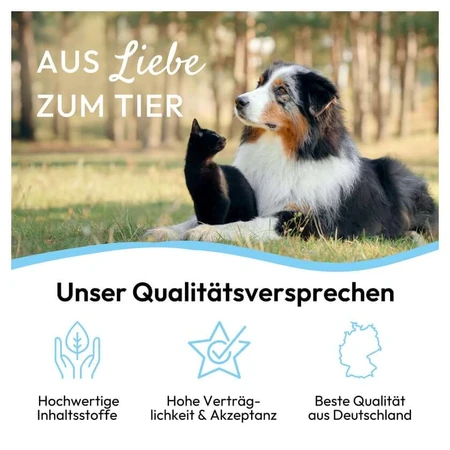PHA Ear Care Drops Dogs 100 ml