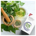Rheumatism tea N 20X2.0 g