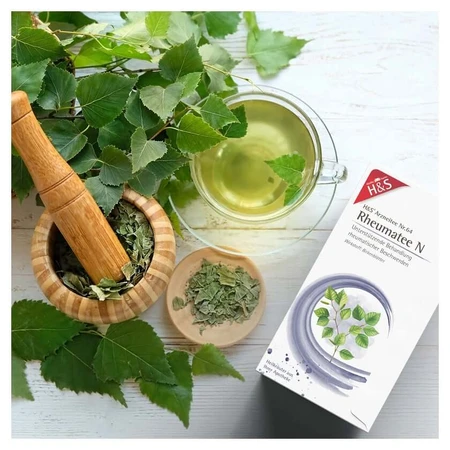 Rheumatism tea N 20X2.0 g