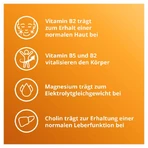 ELOTRANS reload Orange Doppelpack 2X15X7,57 g