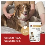Double Heart voor Dieren Huid & Vacht Complex 30 St