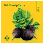 Zwarte radijs Schoenenberger Heilpflanz 3X200 ml