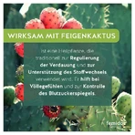 Femidoc Lipogran Tabletten 60 St