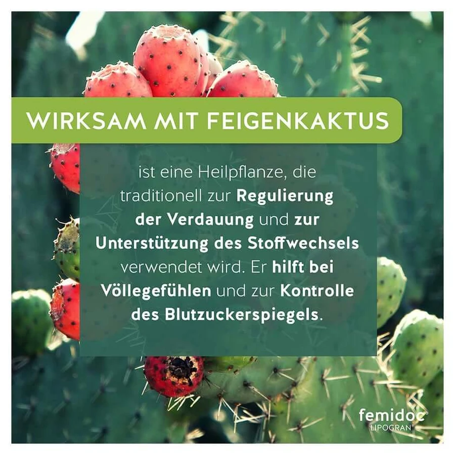 Femidoc Lipogran Tabletten 60 St