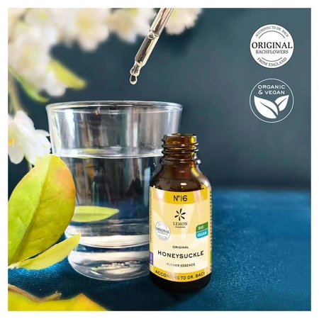 Fleurs de Bach n°16 Chèvrefeuille Bio 20 ml