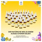 Fleurs de Bach n°16 Chèvrefeuille Bio 20 ml
