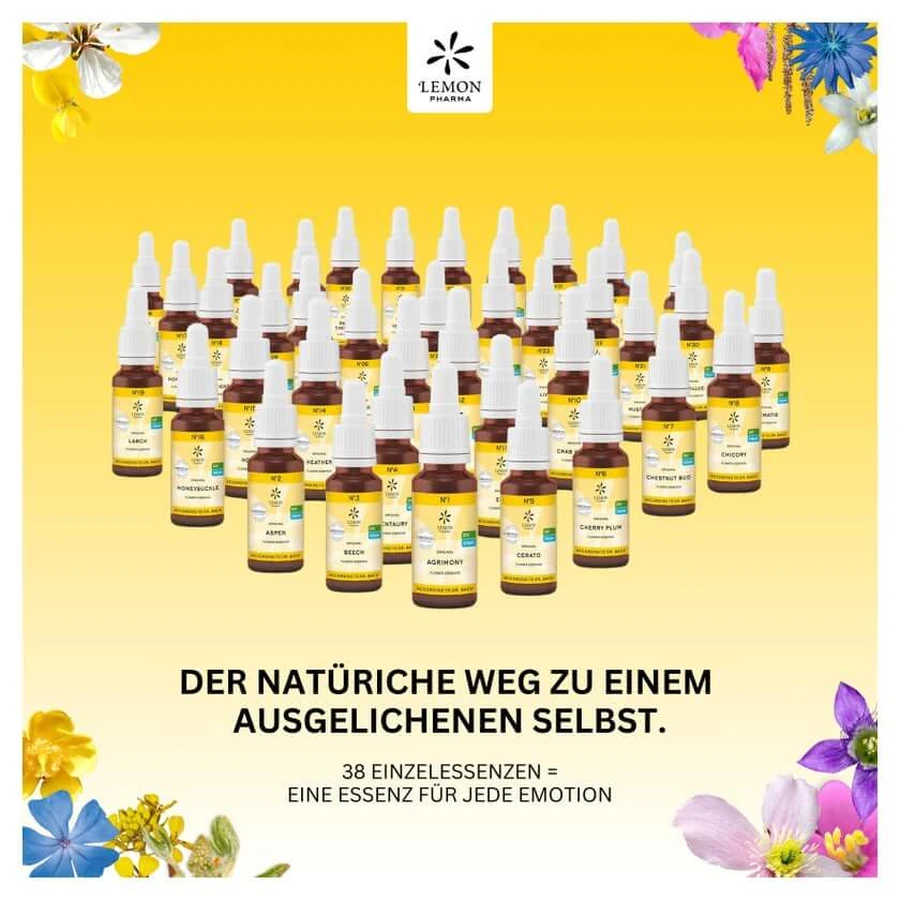 Fleurs de Bach n°16 Chèvrefeuille Bio 20 ml