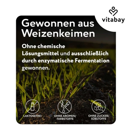 Vitabay Spermidine 6 mg 120 St