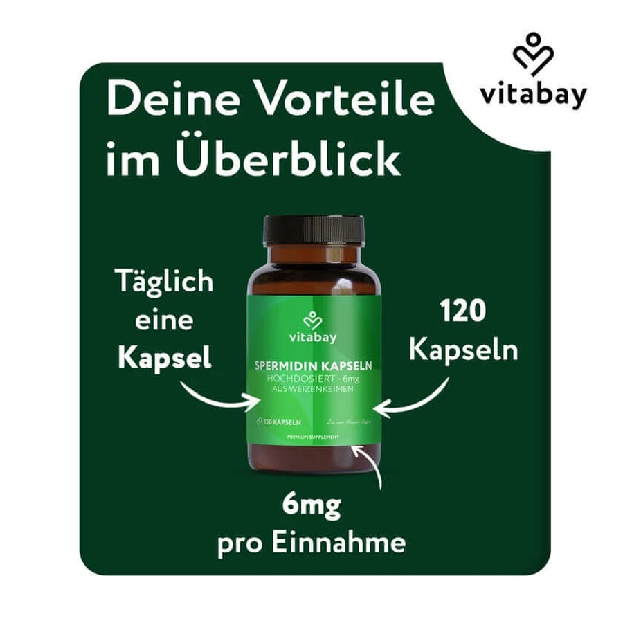 Vitabay Spermidine 6 mg 120 St