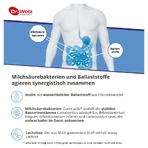 Wolz Darm activ 209 g