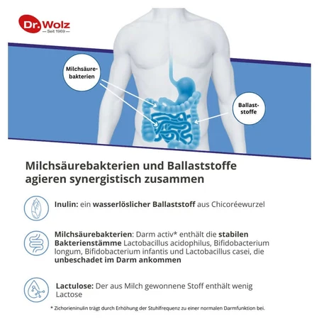 Wolz Darm activ 209 g
