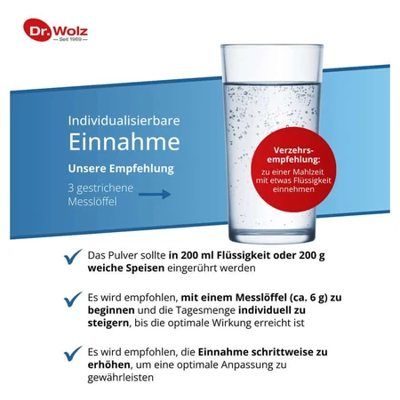 Wolz Darm activ 209 g