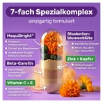 GLYCOWOHL Eye Complex with Lutein & Vitamin A + E 60 pcs.