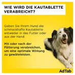 Adtab 112 mg für Hunde >2,5 Doppelpack 2X3 St
