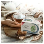 H&S Té Estomacal e Intestinal bolsitas filtro 20X2,0 g