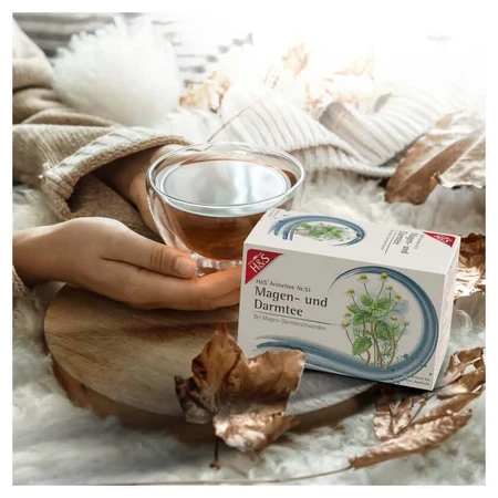 H&S Té Estomacal e Intestinal bolsitas filtro 20X2,0 g