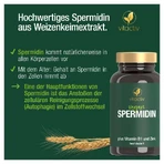 Espermidina cápsulas 60 St
