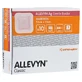 Allevyn Ag Gentle Border 7.5x7.5 cm Wound 10 pcs.