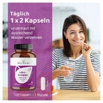 Liver complex milk thistle+artichoke+choline Kps. 120 pcs.
