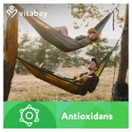 Vitabay Estratto di curcuma 90 st