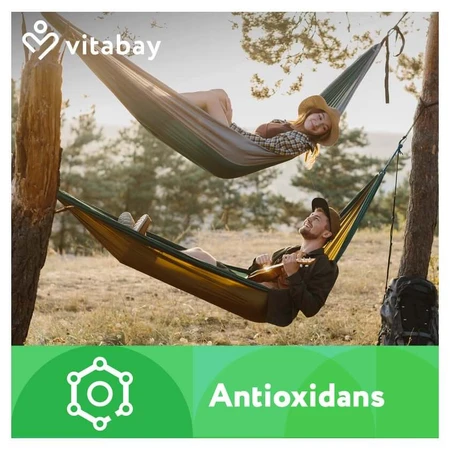 Vitabay Estratto di curcuma 90 st