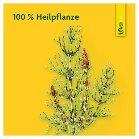 Horsetail SAFT Schoenenberger Medicinal Plant Juice 3X200 ml