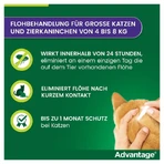 Advantage Spot-On 80 tegen vlooien grote katten 4X0,8 ml