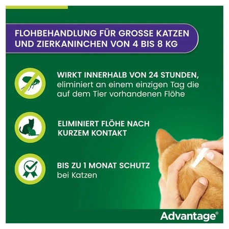 Advantage Spot-On 80 tegen vlooien grote katten 4X0,8 ml