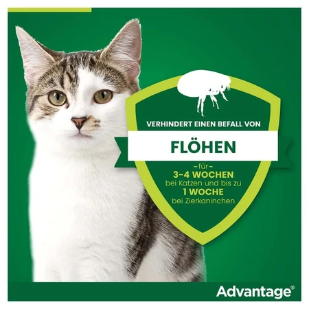 Advantage Spot-On 80 tegen vlooien grote katten 4X0,8 ml