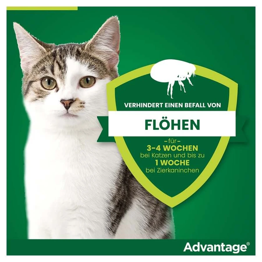 Advantage Spot-On 80 tegen vlooien grote katten 4X0,8 ml