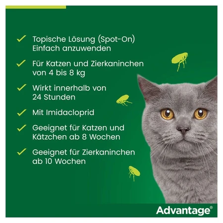 Advantage Spot-On 80 tegen vlooien grote katten 4X0,8 ml