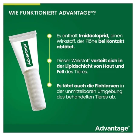 Advantage Spot-On 80 tegen vlooien grote katten 4X0,8 ml