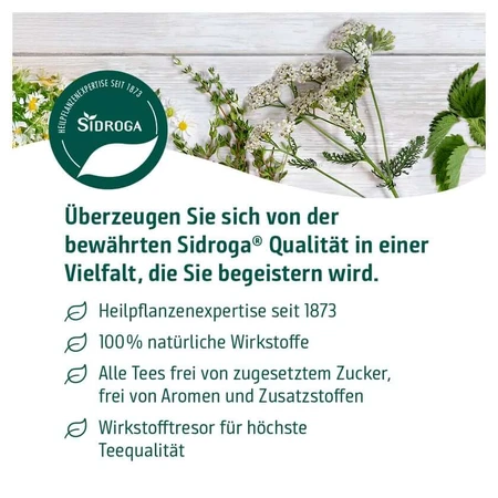 Sidroga Dandelion Tea Filter Bag 20X1,5 g