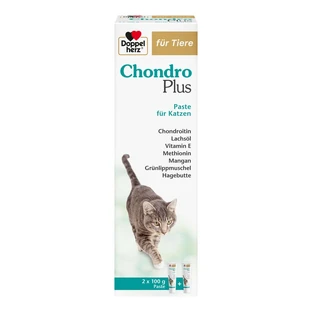 Double Heart Voor Dieren Chondro Plus Pasta Voor Katten 2X100 g