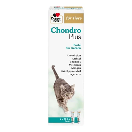 Double Heart Voor Dieren Chondro Plus Pasta Voor Katten 2X100 g