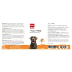 PHA MagenVital Hond 200 g