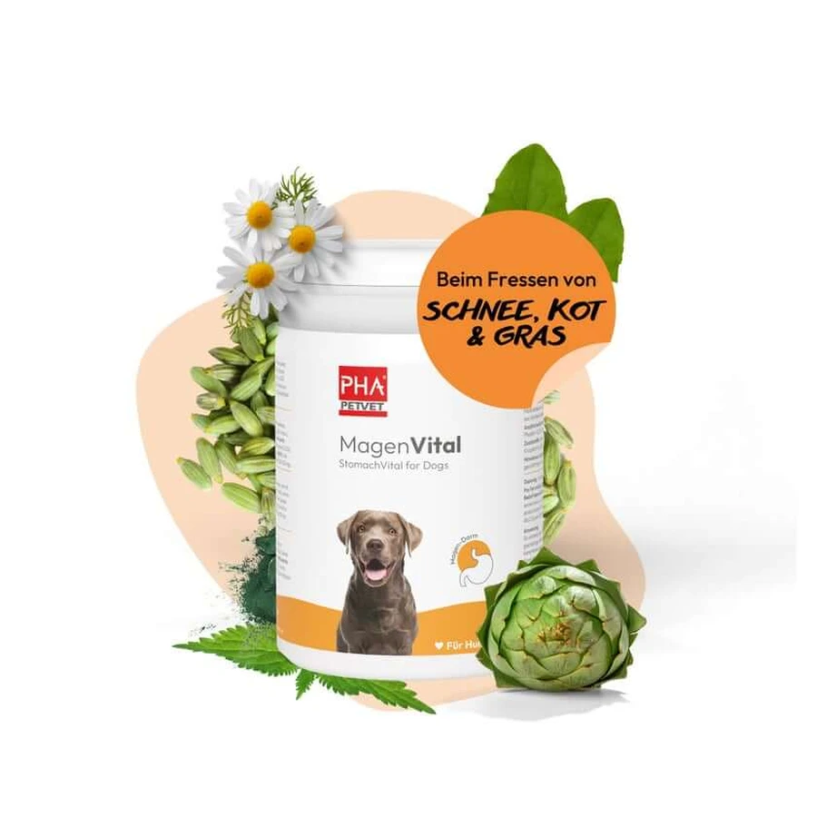 PHA MagenVital Hond 200 g