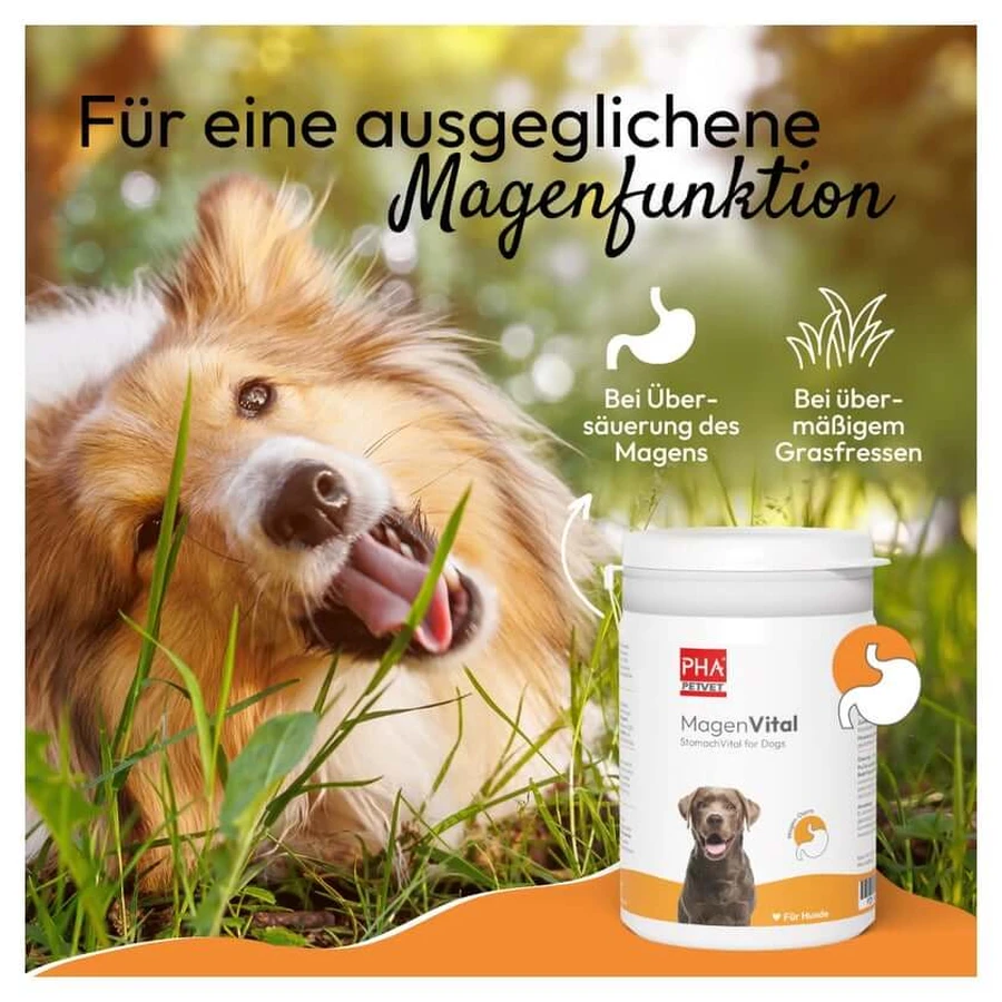 PHA MagenVital Hond 200 g